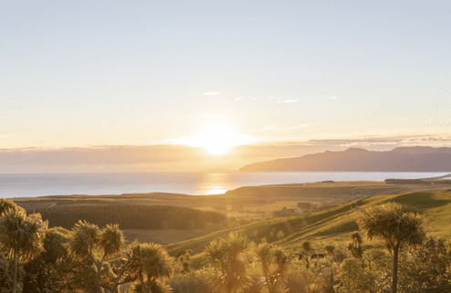 Discover Wairarapa Property Management