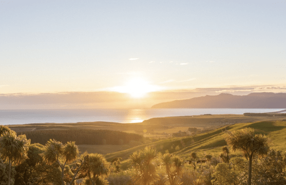 Discover Wairarapa Property Management