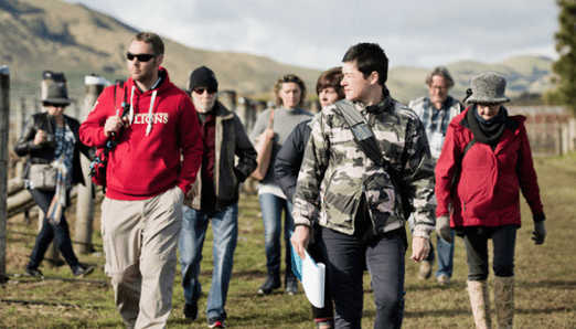 MARTINBOROUGH WINE WALKS