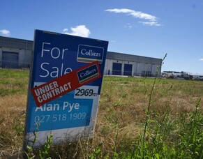 Levin: A Hub of Growth and Opportunity