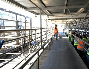 Get&mdash;Go Futures Day connecting students with local employers