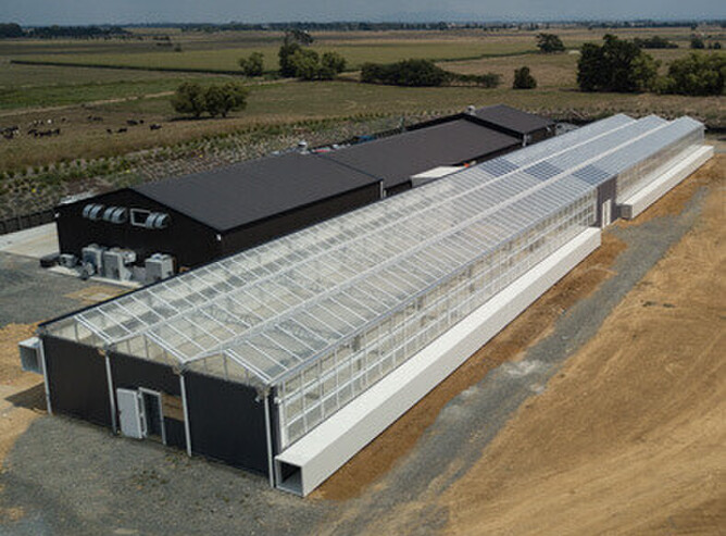 Cannasouth Growing Facility