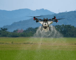 Drone Spraying for Gorse and Broom Control in New Zealand
