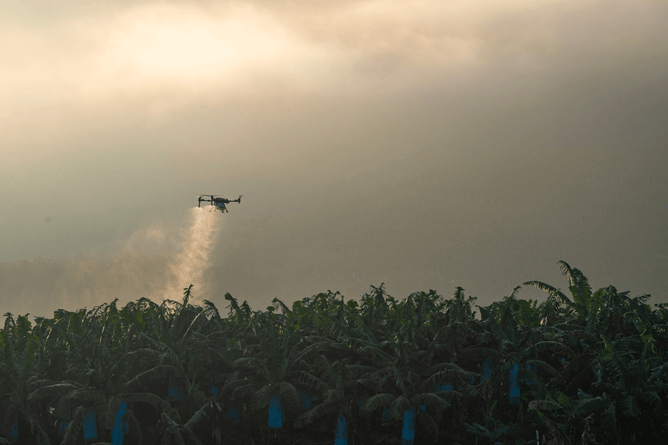 Gorse and Broom Control NZ