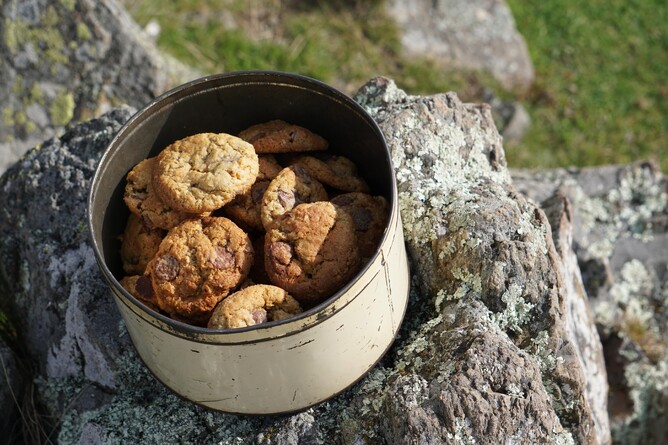 Cowboy Cookies Recipe - Jaz Mathisen