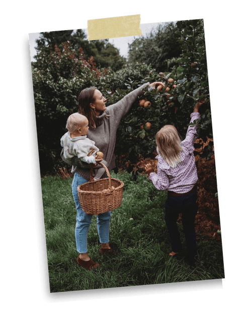 Jaz Mathisen picking apples with her children and placing them in a picnic basket.