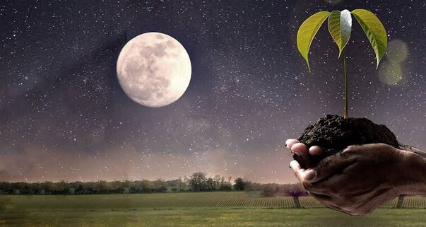 Planting By The Moon