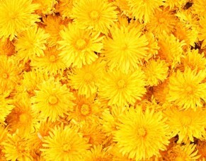 EMPOWER YOURSELF WITH COLOUR: YELLOW
