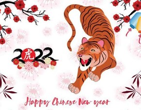 Year of the Water Tiger 2022: Forecast &amp; Signs