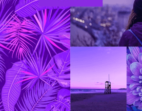 EMPOWER YOURSELF WITH COLOUR: PURPLE