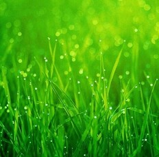 EMPOWER YOURSELF WITH COLOUR: GREEN