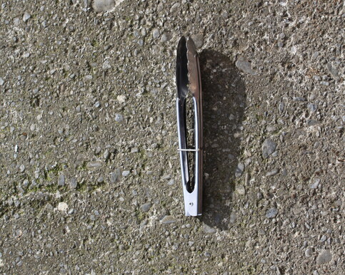 medium stainless steel tongs