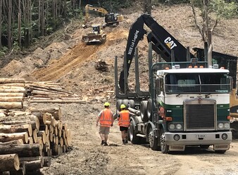 FORESTRY ROADING