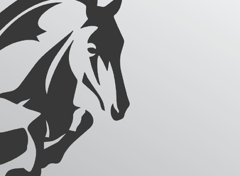EQUESTRIAN ARENAS