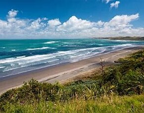 Why Dynex Palliside is the ideal choice for our Tiny Homes