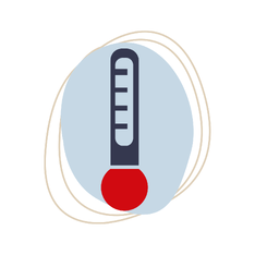 Vet Nurse Consultations | Johnsonville Vet