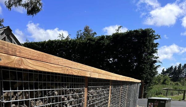 Winter Landscaping Tips For North Canterbury Homes