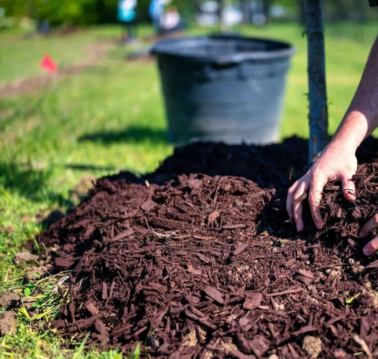 Landscape Maintenance