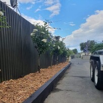 A neatly finished garden bed lined with fresh mulch and young trees along a black corrugated fence. A freshly painted timber edge separates the garden from a clean driveway, showcasing tidy landscaping work.