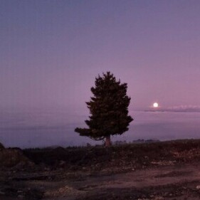 Excavator silhouetted at sunset on a hillside overlooking the sea – peaceful view during earthworks project in North Canterbury.