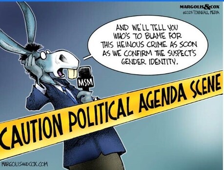 New Zealand wants to apologise to Posey Parker &ndash; there is no excuse for violence ever. We are sorry. We are here to LOVE one another.