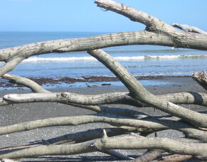 Influencing our collective spirit