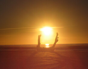 Aligning aspiration and purpose