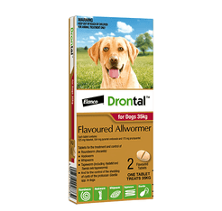 Drontal AllWormer for Dogs 35kg