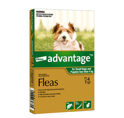 Advantage Flea Treatment for Dogs