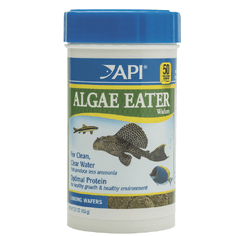 API Algae Eater Wafers