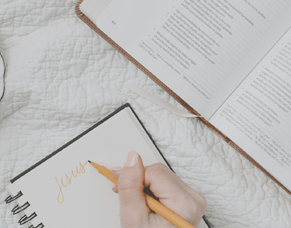 Night School Winter 2023