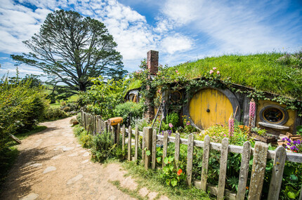 Exploring New Zealand