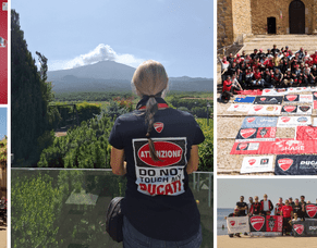 Bat Hits Italy To Represent DOCNZ