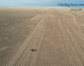 Wayne&#039;s Monkey Run