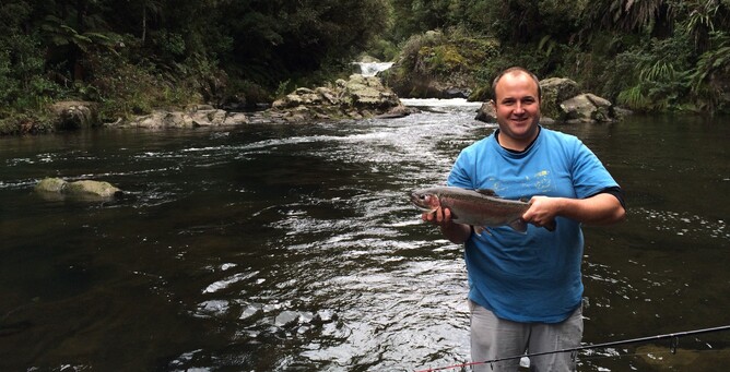 Rainbow Trout Waipapa River