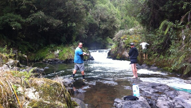 Waipapa River Trout Fishing
