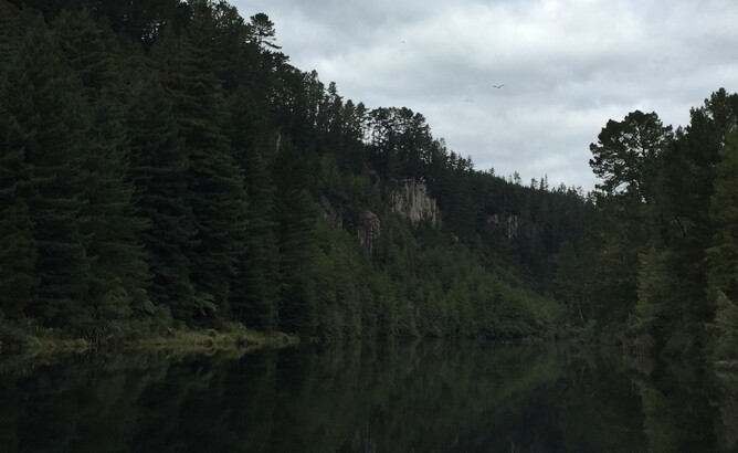 Lake Waipapa trout fishing
