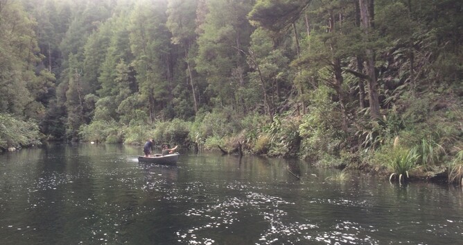 Waipapa River trout fishing