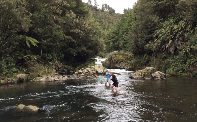 Lake Waipapa Trout Fishing | HYDRO EXPLORER TOUR