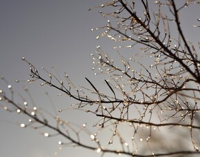 Dr Brenda Gibson due to be on leave after Friday 18 July