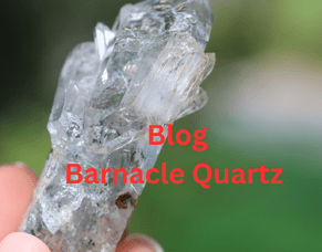Barnacle Quartz