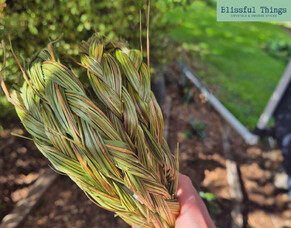 How to Use Sweetgrass for Smudging