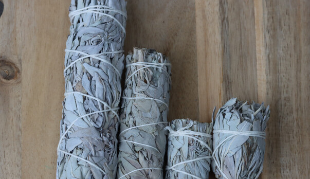 White Sage Smudge Sticks: A Simple Guide to Cleansing &amp; Clarity