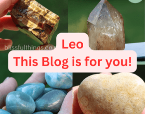 Leo &ndash; This Blog Is Just for You