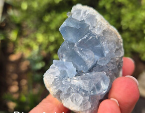 Celestite
