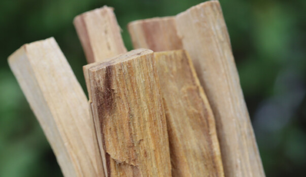 Palo Santo: Holy Wood for Cleansing &amp; Positive Energy
