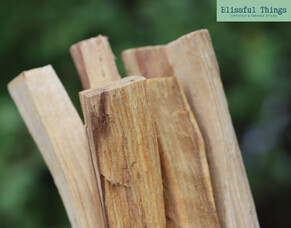Palo Santo: Holy Wood for Cleansing &amp; Positive Energy
