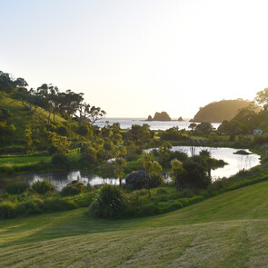 ROCKELLS BAY WETLAND