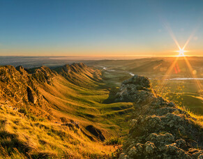 Relax, Unwid, Look After Yourself - Napier Event 26-28 February 2025