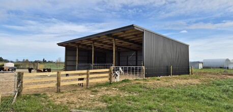 4 bay calf shed